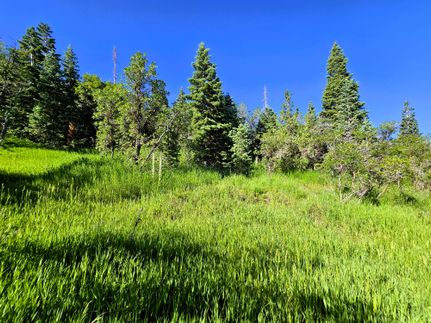 Ranch Property in Sanpete County, Utah