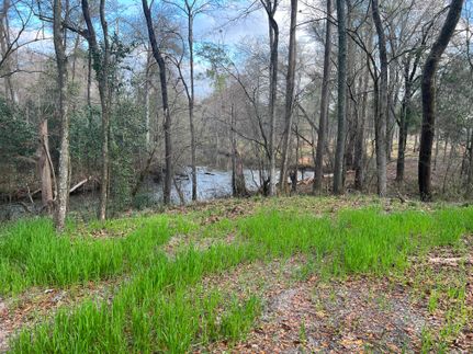 Property in Lee County, Georgia