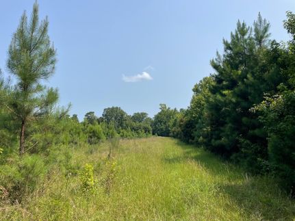 Farm Property in Williamsburg County, South Carolina