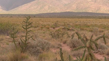 Property in Valencia County, New Mexico