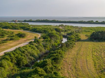 Timberland Property in Calhoun County, Texas