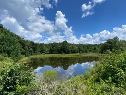 Farm Property in Copiah County, Mississippi