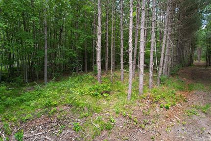 Ranch Property in Juneau County, Wisconsin