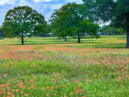 Farm Property in Bastrop County, Texas
