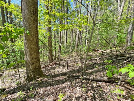 Farm Property in Madison County, North Carolina