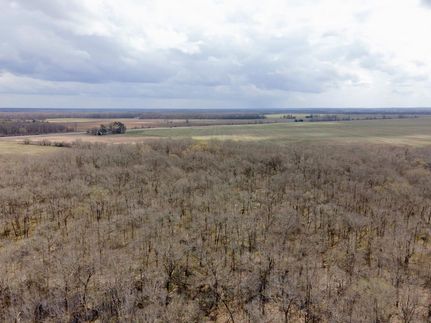 Recreational Property in Caldwell Parish, Louisiana