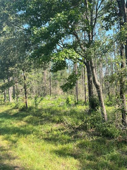Ranch Property in Angelina County, Texas