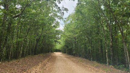 Undeveloped Land in Hot Spring County, Arkansas