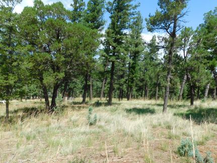Farm Property in Lincoln County, New Mexico