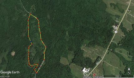 Undeveloped Land in Washington County, Maine