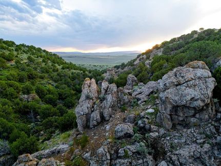 Hunting Land in Moffat County, Colorado