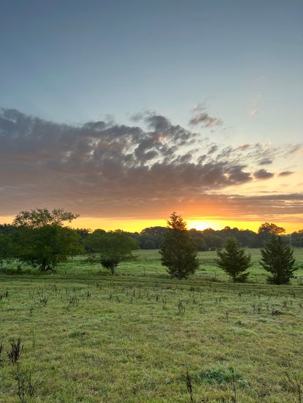Ranch Property in Bowie County, Texas