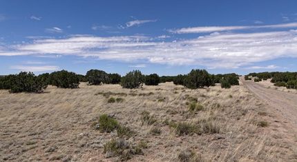 Timberland Property in Apache County, Arizona