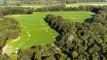 Farm Property in Dale County, Alabama