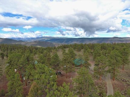 Ranch Property in Gunnison County, Colorado