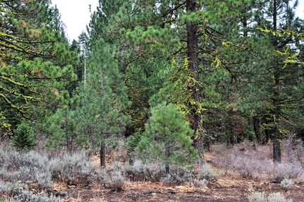 Ranch Property in Modoc County, California
