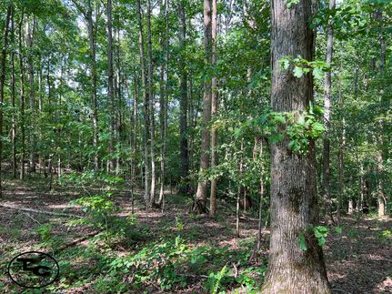 Recreational Property for sale in Chester County, Tennessee