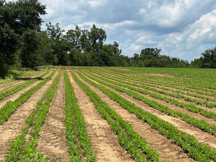 Waterfront Property in Jackson County, Florida
