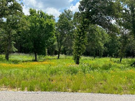 Undeveloped Land in Jack County, Texas