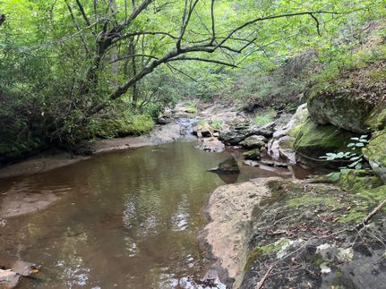 Farm Property in Bedford County, Virginia