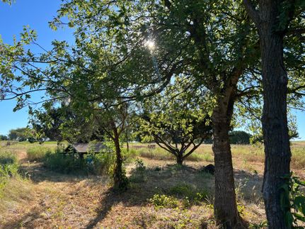 Undeveloped Land in Johnson County, Texas