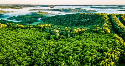 Hunting Land in Iowa County, Wisconsin