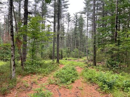 Residential Property in Lewis County, New York