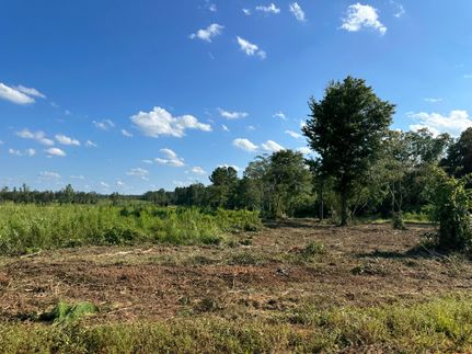 Recreational Property in Monroe County, Alabama