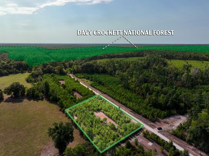 Undeveloped Land in Houston County, Texas