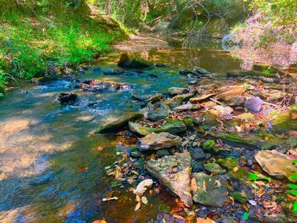 Waterfront Property in Franklin County, Mississippi