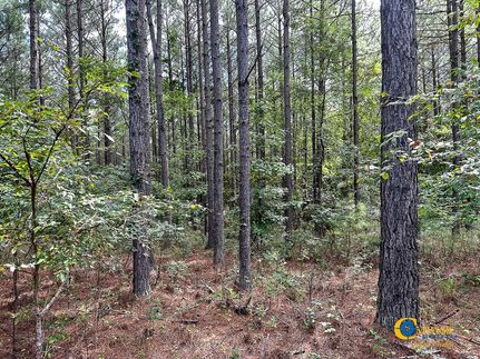 Timberland Property in Chester County, Tennessee