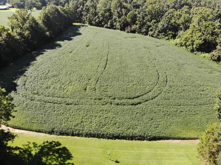 Farm Property in Hardeman County, Tennessee