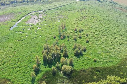 Hunting Land in DeSoto County, Mississippi