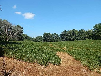 Farm Property in Calhoun County, Michigan