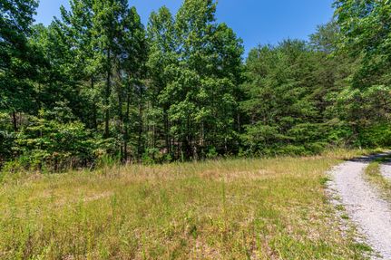 Undeveloped Land in Fannin County, Georgia