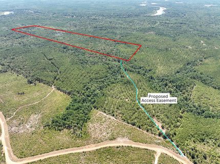 Undeveloped Land in Newton County, Texas