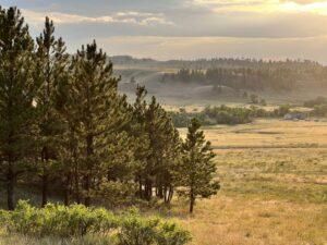 Undeveloped Land in Big Horn County, Montana