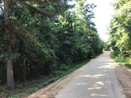Undeveloped Land in Ashley County, Arkansas