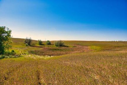 Undeveloped Land in Adams County, North Dakota