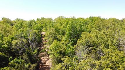 Undeveloped Land in Arkansas County, Arkansas