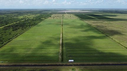 Farm Property in Indian River County, Florida