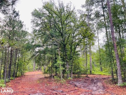 Ranch Property in Robeson County, North Carolina
