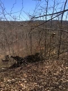Ranch Property in Marion County, Tennessee