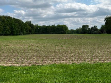 Farm Property in Macon County, Illinois
