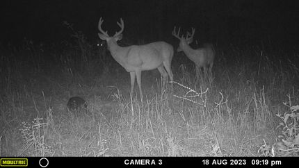 Property in Warren County, Mississippi