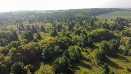 Hunting Land in Saint Croix County, Wisconsin