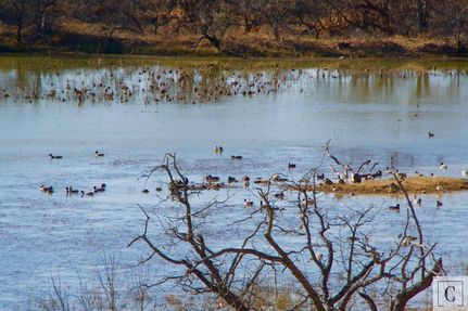 Farm Property in Young County, Texas