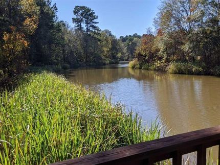 Timberland Property in Rusk County, Texas