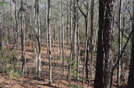 Recreational Property in Autauga County, Alabama