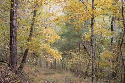 Farm Property in Jackson County, Tennessee